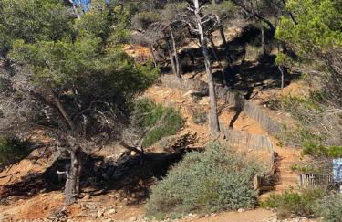 Au 526 sur mer - Foto 20