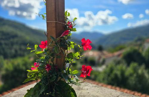 La terrazza sul Tetto - Foto 17