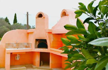 Zika's House - Foto 24