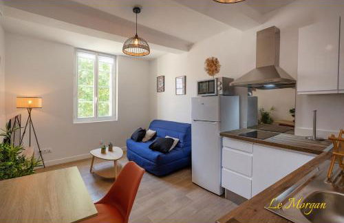 Le Morgan - Magnifique appartement cours principal plein centre avec parking - Foto 10