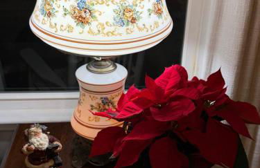 Clayton's 1910 Restored Mill House-near Burlington - Foto 17