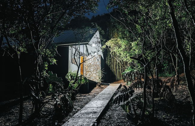 Floresta Monteverde - Foto 25