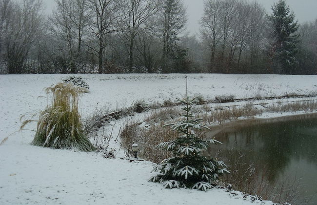 Apartment Straßbourg - Europapark - Foto 24