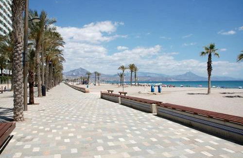 Tortuga Flat - Photo 52