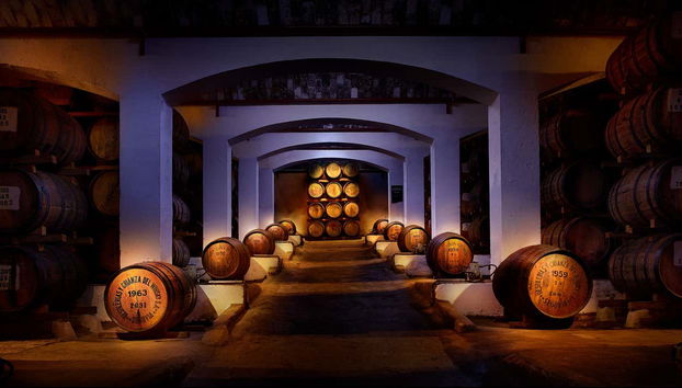 Visitaremos la bodega de la destilería