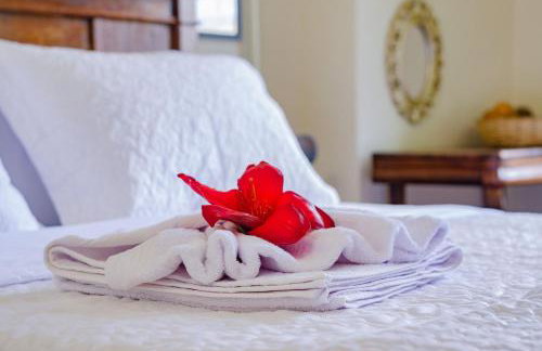 Casarão de Época no Coração do Pelourinho - Studio até 6 hóspedes - Foto 46