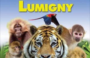 Green home Paris Disneyland - Foto 33