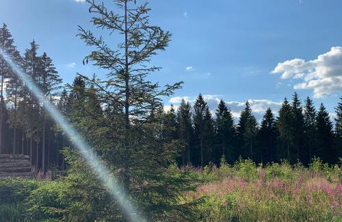 FaFeWo Ferienwohnungen mit Sternekomfort in Tanne Harz - Foto 46