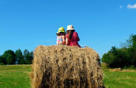 Dom Geologa - Foto 76