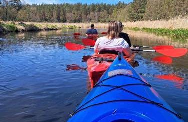 Domki nad jeziorem w Borach Tucholskich - Foto 17