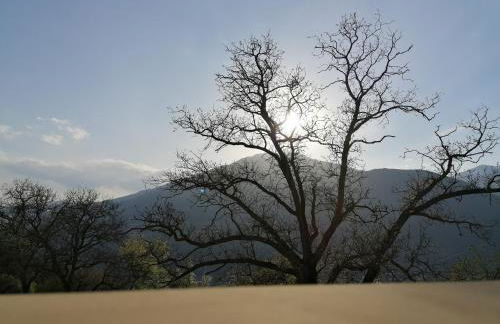 NEUE Ferienwohnungen auf dem Gebreitnerhof, Urlaub auf dem Bauernhof - Photo 62