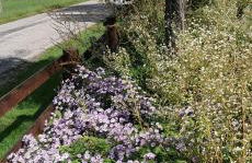 Gîte Le Clos des Vosges - Foto 19