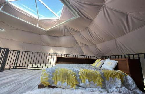 Dome Sweet Dome - Foto 17