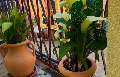 Cegi's home - Foto 21