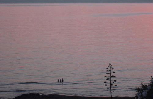 Near The Sea - Foto 75