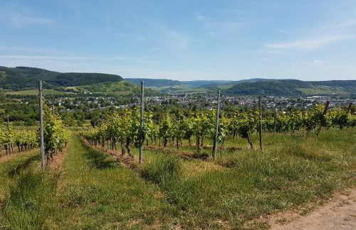 Familie Jonas - Foto 35