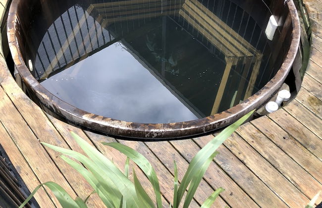 Beach Holiday Apartments - Foto 14