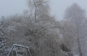 appartement mitoyen dans chalet - Foto 7