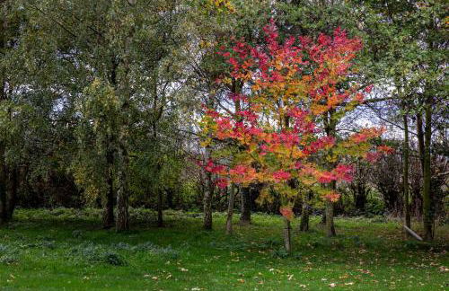 Partridge Lodge - Foto 15