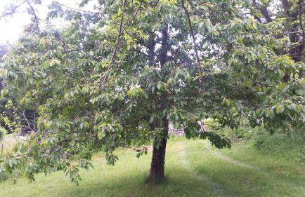 Apartment Ema - Foto 21