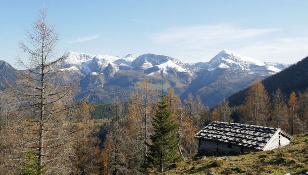 Malerhausl Modern Retreat - Foto 2, Habitación
