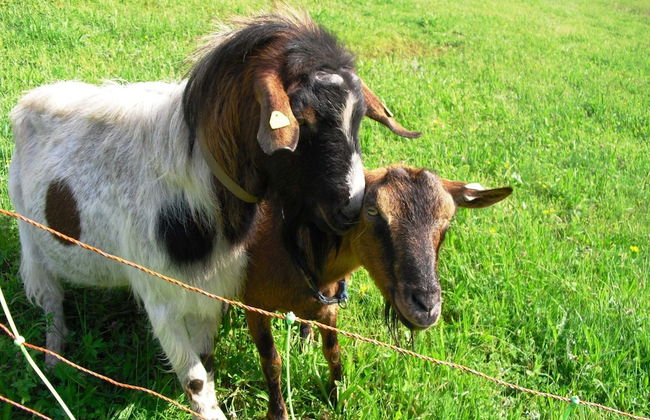 Comfortable Holiday Home in a Beautiful Location - Photo 44