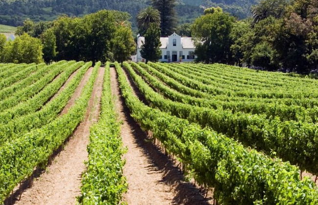 Glen Avon Lodge Boutique Hotel - Foto 30