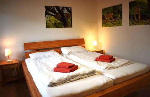 FVH Family Vacation Heidelberg - Foto 16