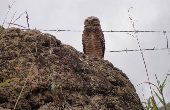 Paradisiacal Site in National Park - Foto 23
