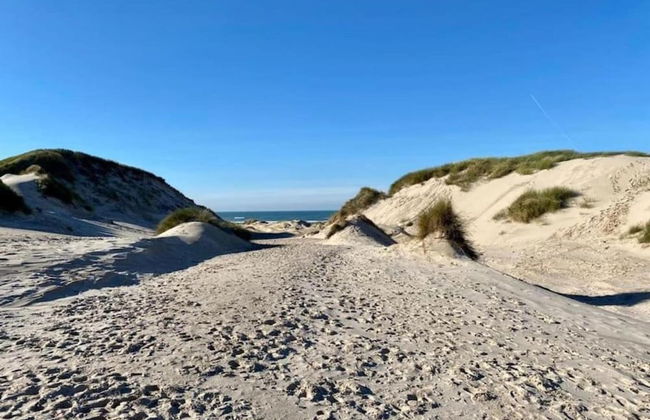 Holiday Home Tuitjenhorn Near Coast - Foto 36