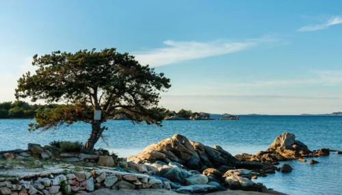 Casa Ibiscus - Foto 4