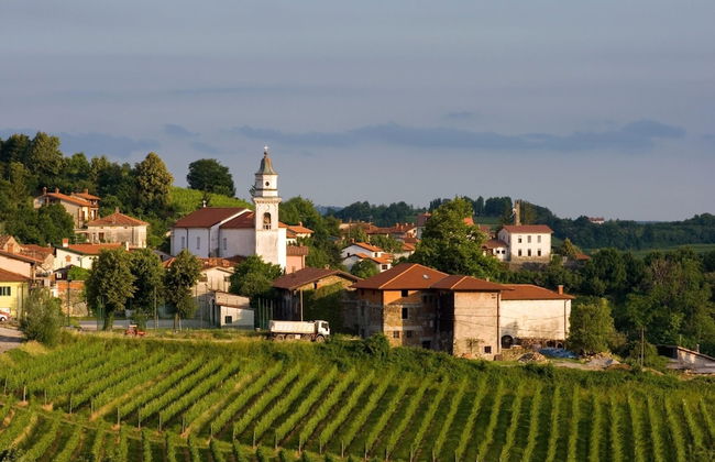 Pool & Sauna Villa Gizela - Foto 63