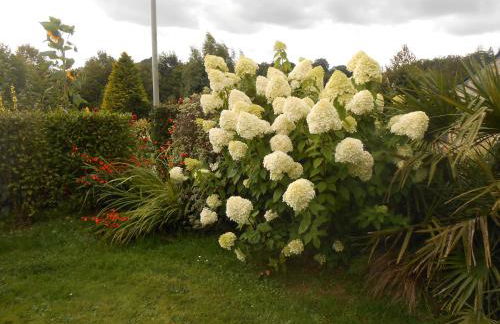 Maison Brix - Foto 34