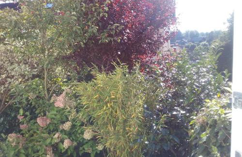 Perlenbachtal - Foto 25