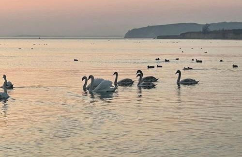 Ferienanlage in Klein Zicker Ferienwohnung 1 - Seeseite - Foto 23