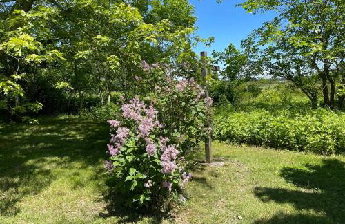 Modern Farmhouse Retreat North Fork Wine Country - Foto 60
