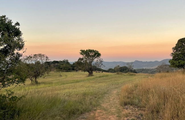 AtNature Luxury Self Catering Cottages - Photo 70