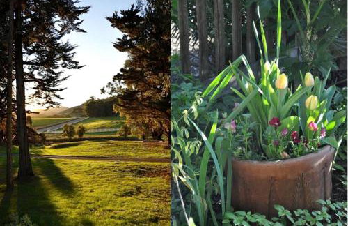 Antique Indonesian Teakwood Cottage for a Romantic Getaway in Petaluma, California - Foto 25