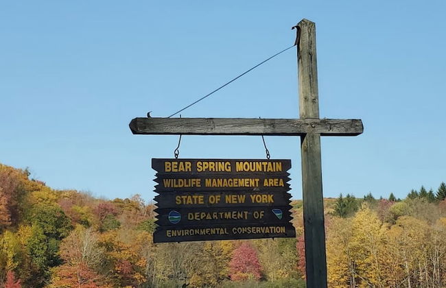 Catskill Retreat - Foto 67