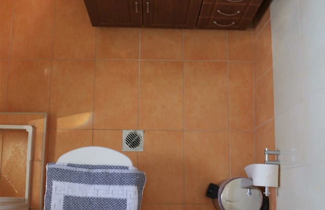 Helianthus - Foto 16