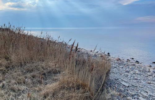Haus Seestern & Haus Seemöwe mit Sauna, Kamin und Garten - Foto 6