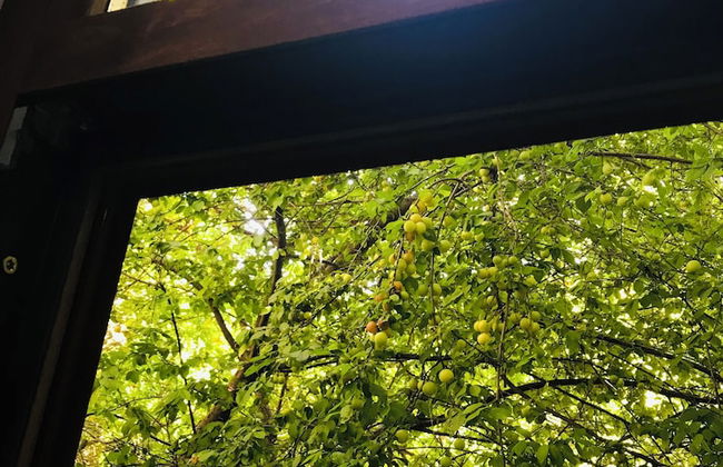 Halil Bey Konağı - Foto 15