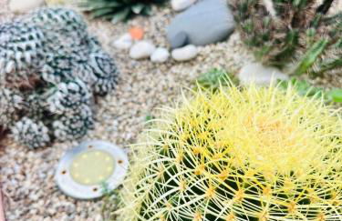 Il Giardino davanti al Mare - Foto 11