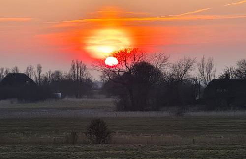 Carlos Hus - Foto 12