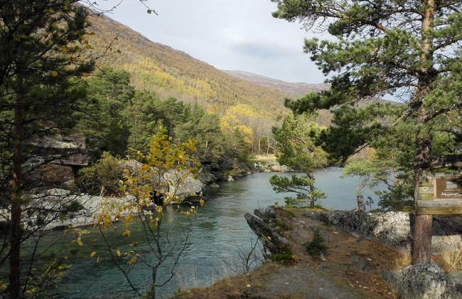 Driva Hytter - Foto 14