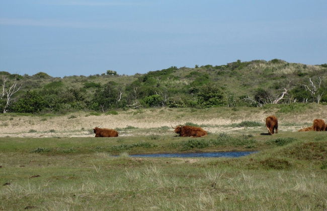 Modified, Modern Lodge Near the Beach - Foto 36