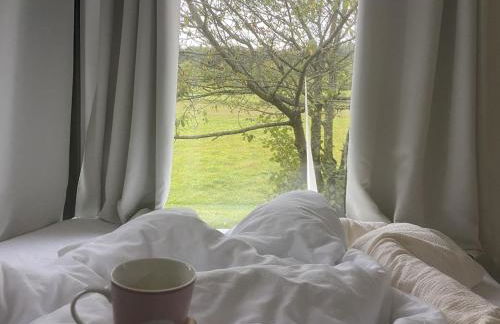 Rauszeit-Tiny Waldblick - Foto 49