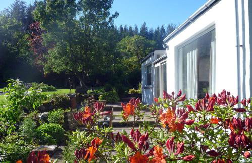 Shinnel House - Foto 26