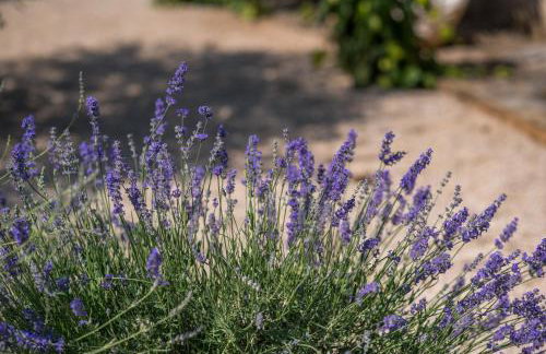 Apartments with a parking space Malinska (Krk) - 13219 - Foto 15