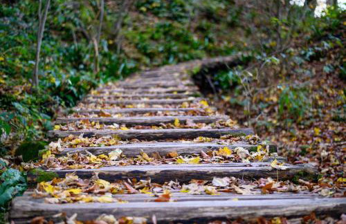 Apartment Goran - Foto 9